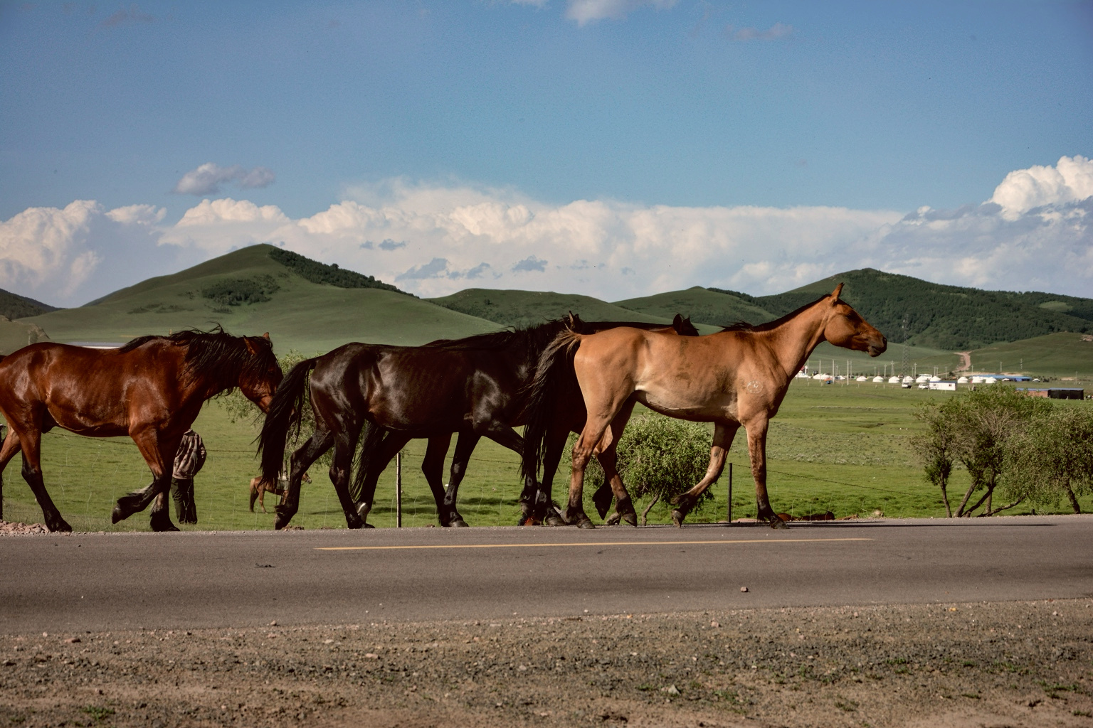Mongolia landscape